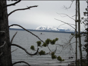 Picture of Yellowstone Lake.