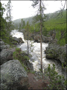 Picture of the Firehole River.