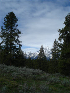 Picture of view from Jackson Lake Overlook.