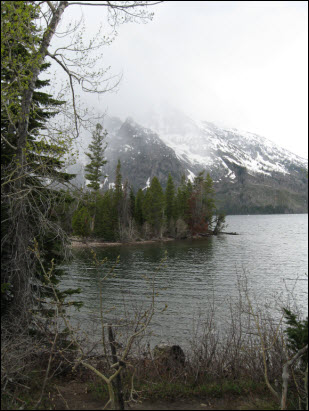 Picture of view of Jenny Lake.