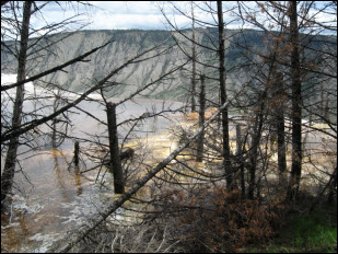 Picture of the Upper Terrace Trail in Mammoth Hot Springs.