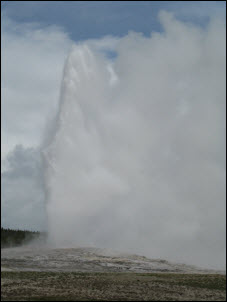 Old Faithful at the height of it's eruption.