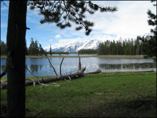View of Swan Lake.