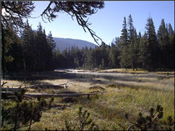 Photograph of scenery on Tioga Pass Highway.