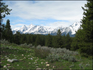 Picture of the view from Jackson Lake Overlook.