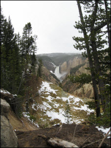 View of Yellowstone Falls from Artist Point.