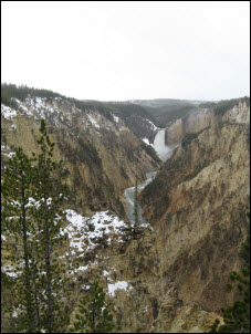 Picture of Yellowstone Falls.