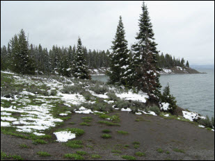 Picture of Yellowstone Lake.