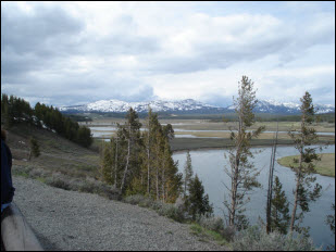 Picture of the Yellowstone River.