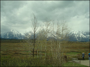 Picture of view from back of Jackson Lake Lodge.