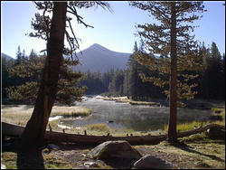 On the Tioga Road, view of creek from Mono Trail at Yosemite National Park.